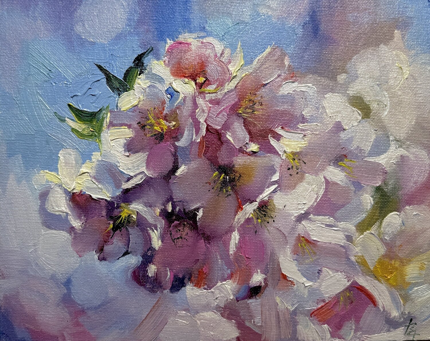 Spring Elena Hromova