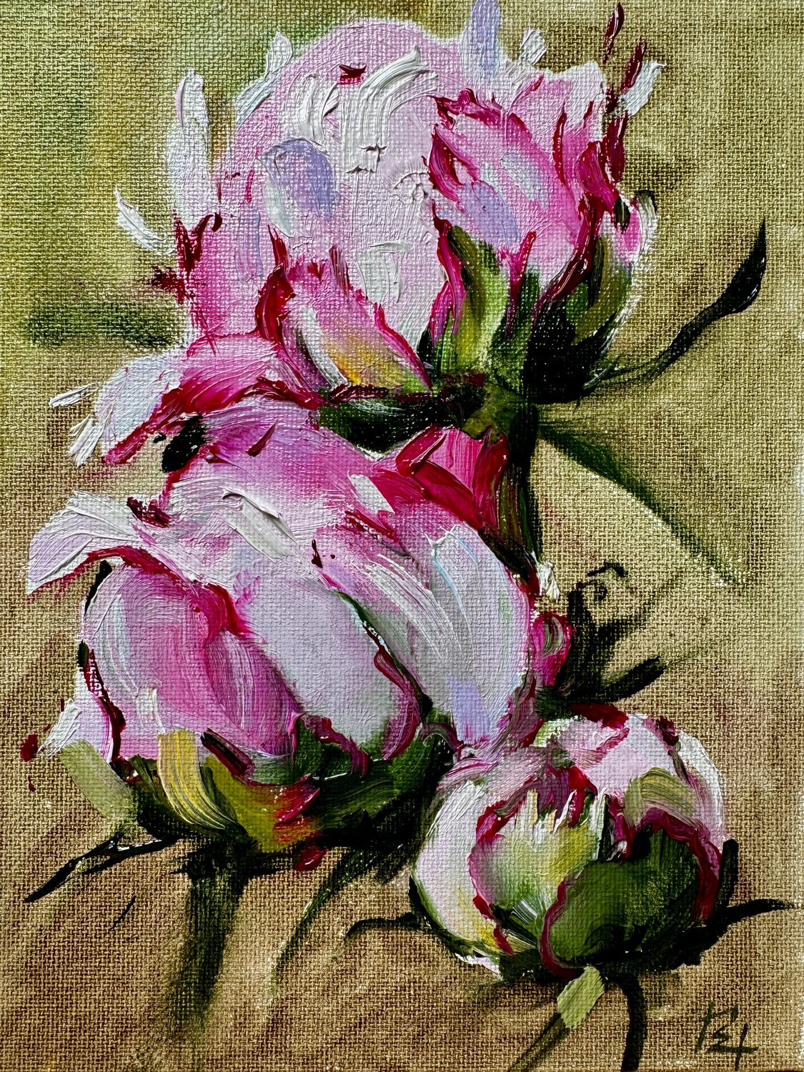 peony buds Elena Hromova Drawing for sale