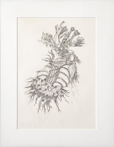 Natura diversa III par Þorgerður Jörundsdóttir, Dessin en vente sur Singulart