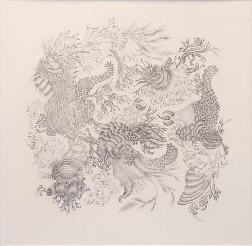 Nimium natura I par Þorgerður Jörundsdóttir, Dessin en vente sur Singulart