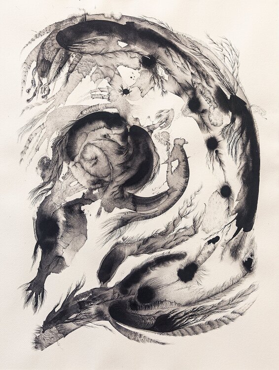 Wave Þorgerður Jörundsdóttir