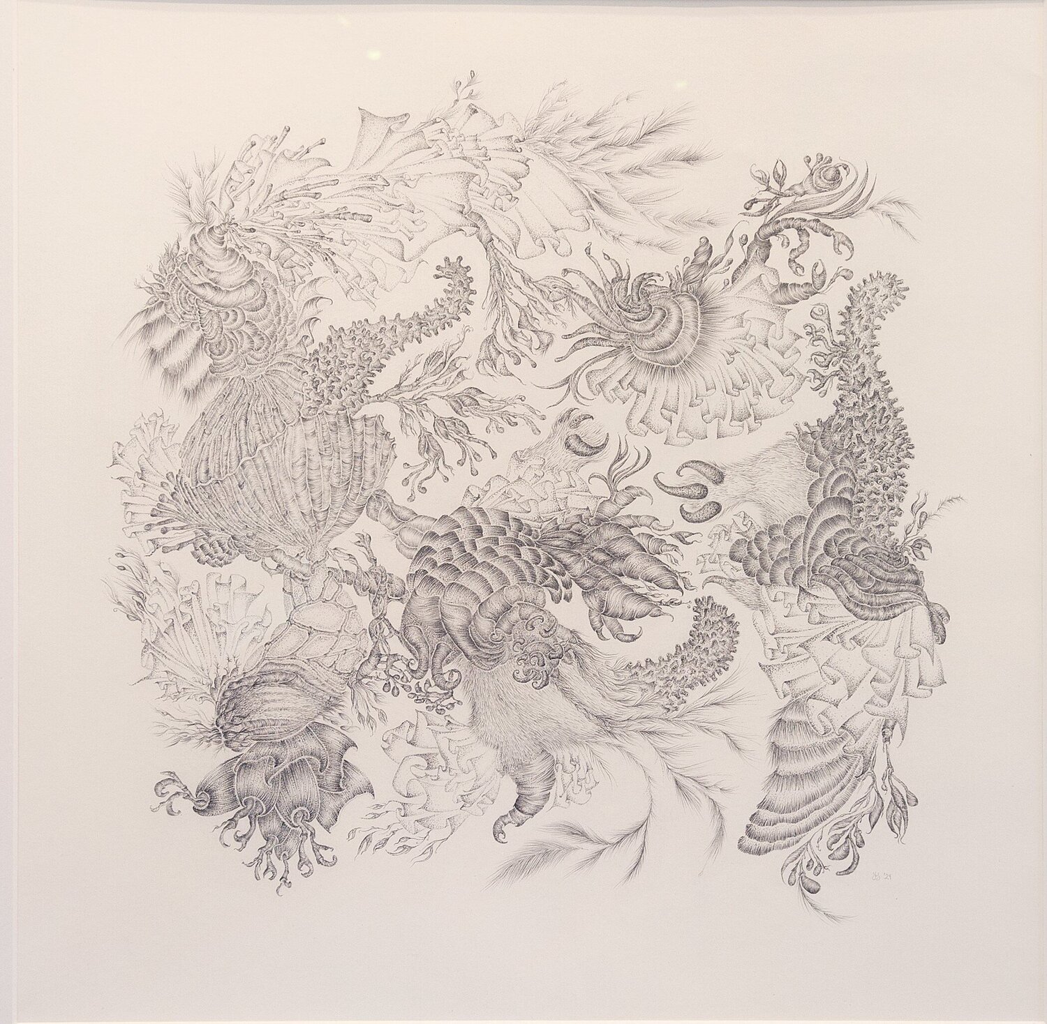 Nimium natura I Þorgerður Jörundsdóttir Disegno in vendita