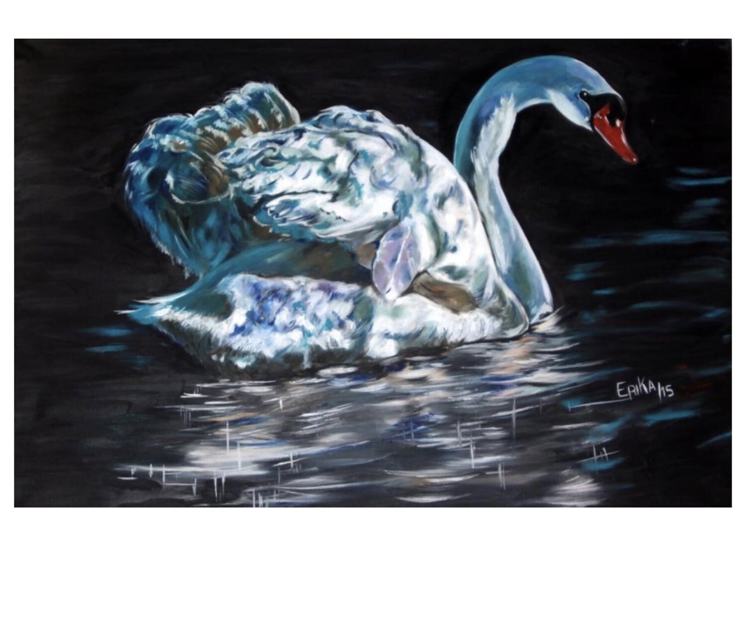 Cisne en lago negro Erika Escribano Martinez