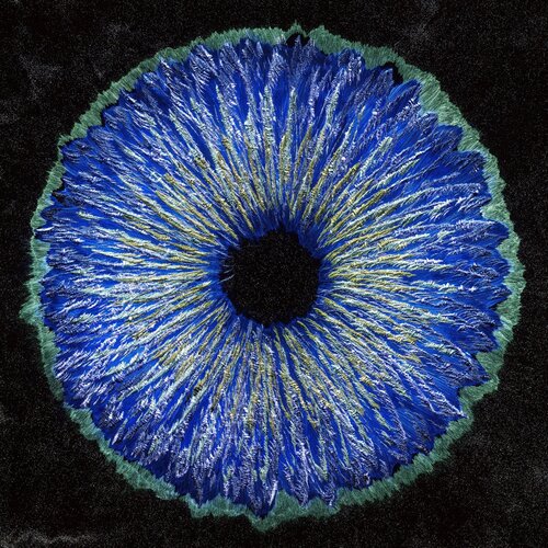 Liquid Space Ship II di Volker W. Hamann, Fotografia in vendita su Singulart