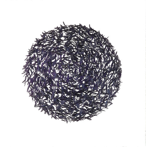 1058/640/650/W von Volker W. Hamann, Andere Medien kaufen auf Singulart