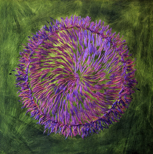 5933/640/658/S von Volker W. Hamann, Andere Medien kaufen auf Singulart