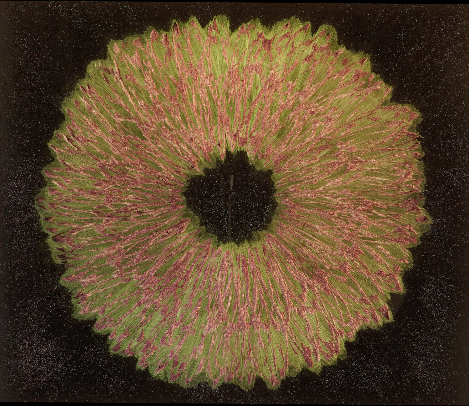 SPACE FLOWER 031901 Volker W. Hamann