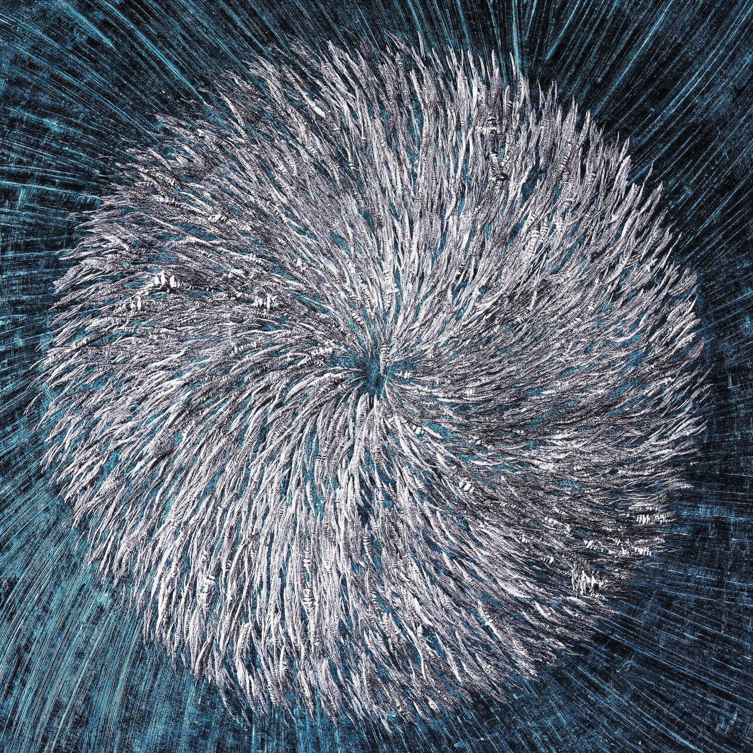 0216/657/654 Volker W. Hamann