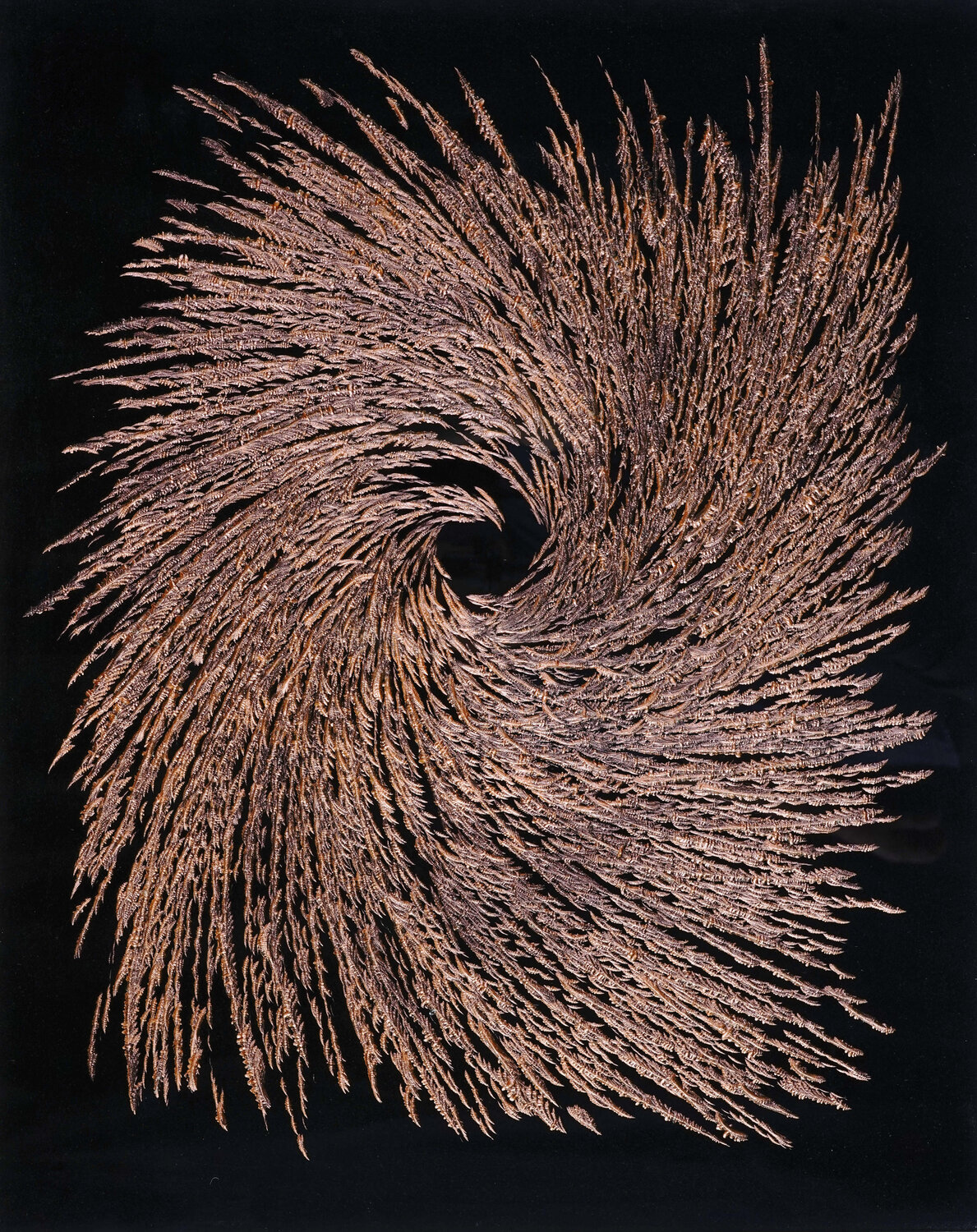 WAVE/WELLE 9359 Volker W. Hamann