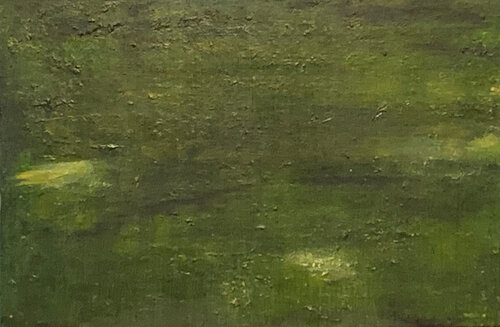 LA NATURE EN SOMMEIL marie anne Baron