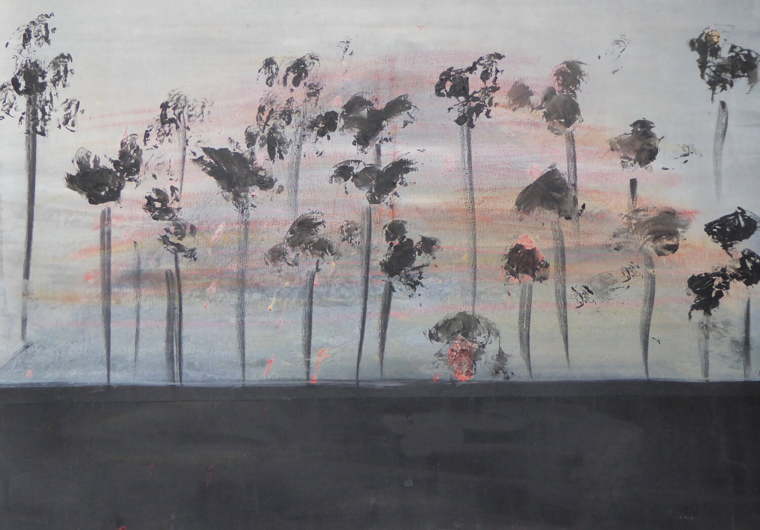 ARIZONA MIAMI marie anne Baron