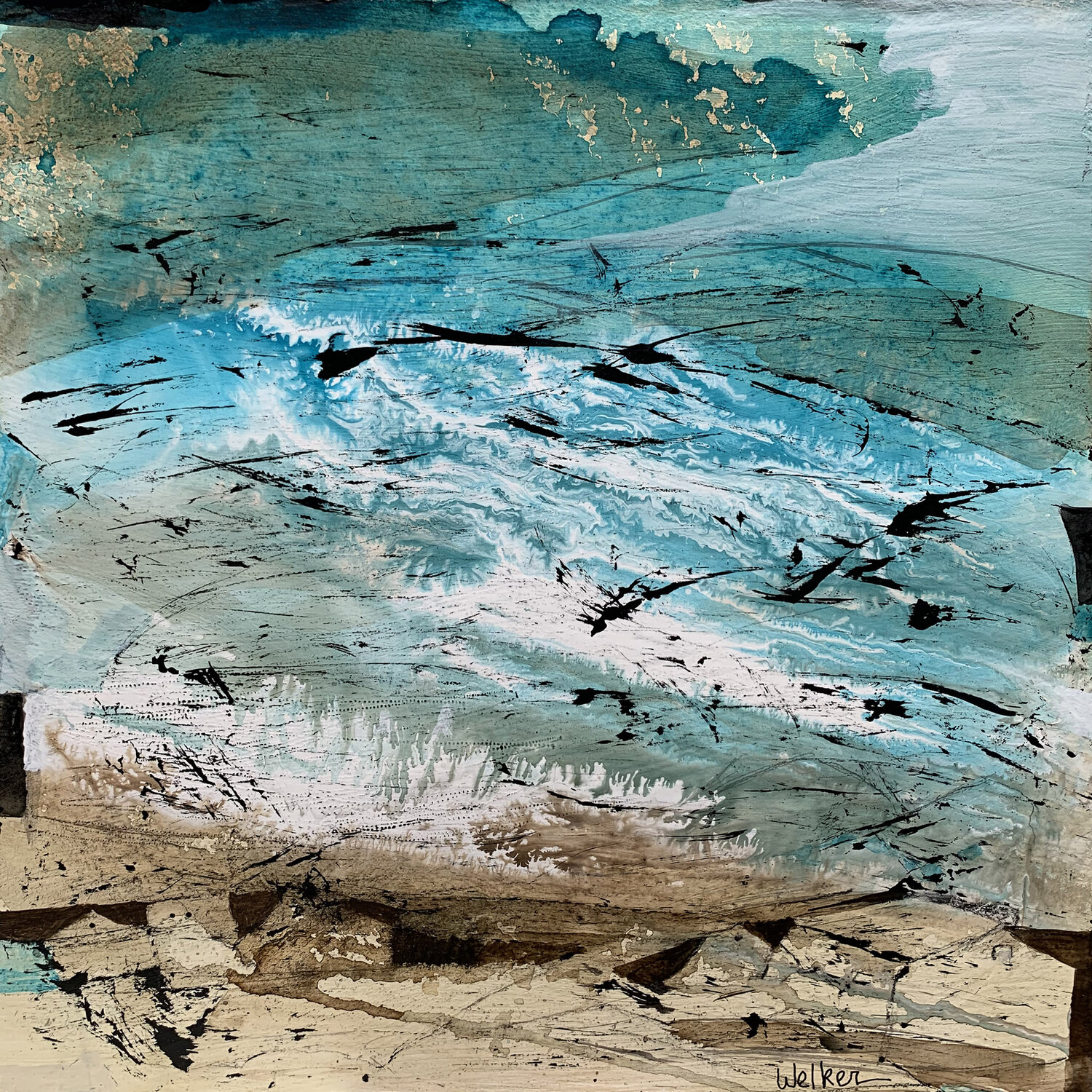 Transparent Shallows Lynn Welker