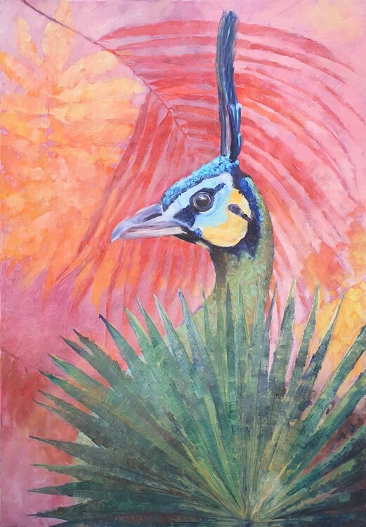 Pfau im Palmenfächer Tamara Siebert