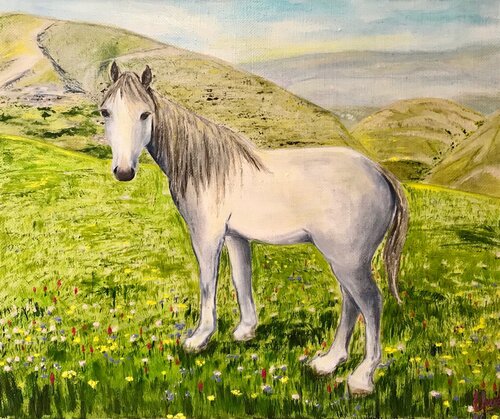 WHITE HORSE IN DAGESTAN  | oil painting on canvas | original par SVETLANA SHAVRINA, Peinture en vente sur Singulart
