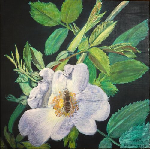 Rose van Christoph Fischer, Schilderij te koop op Singulart