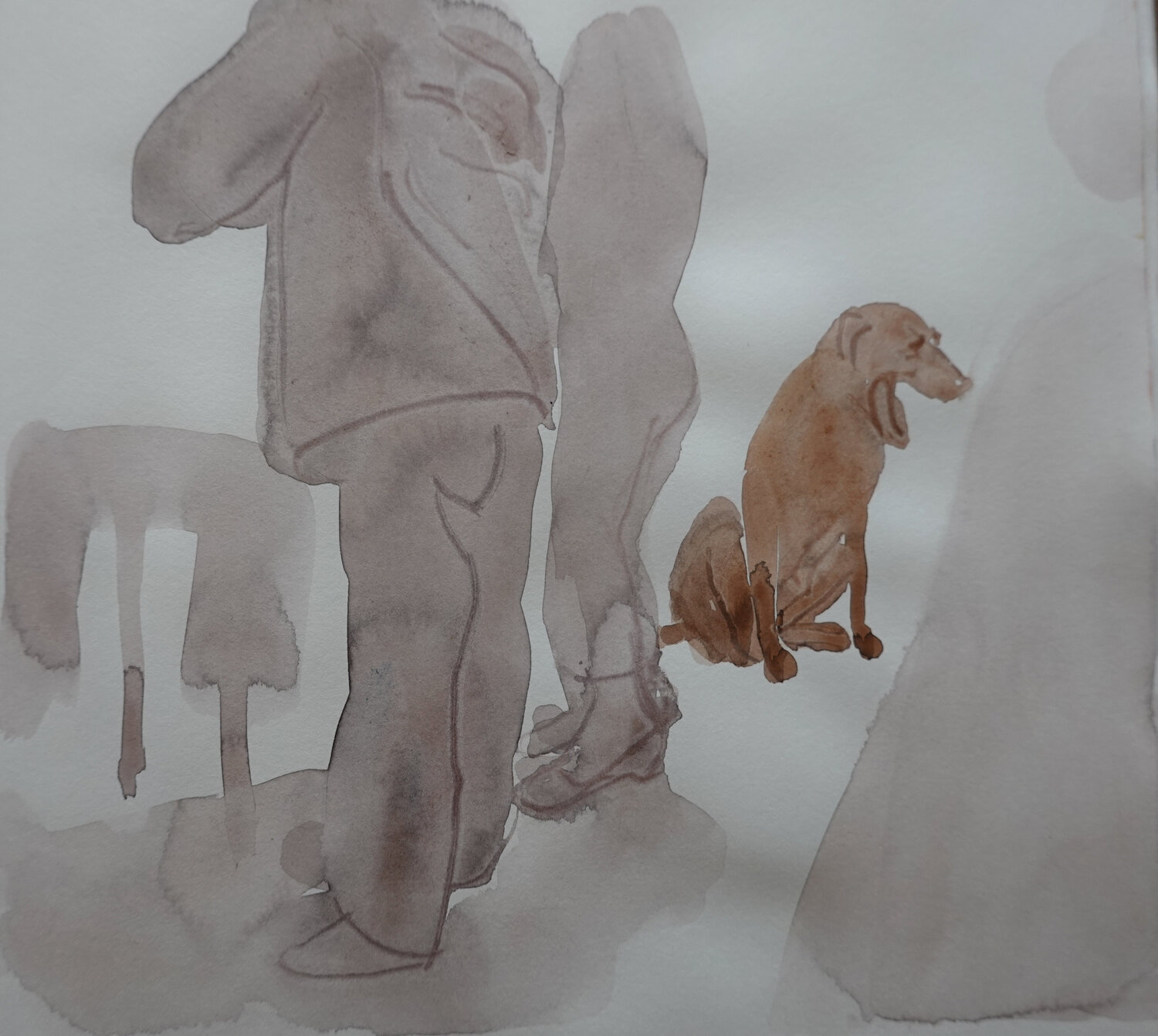 gähnender Hund Christoph Fischer