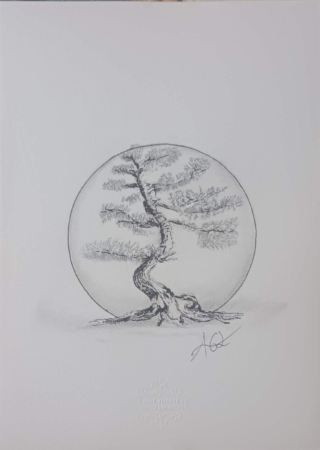 L'arbre de vie laetitia GUADAGNA ASCIAK