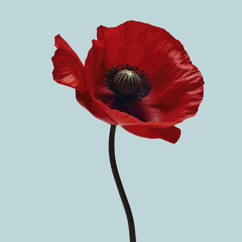 Floral Elegance Anemone Red by Egon Gade, Print for Sale on Singulart