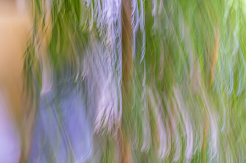 Positive Vibes 2 von Egon Gade, Fotografie kaufen auf Singulart
