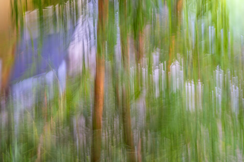 Positive Vibes 3 von Egon Gade, Fotografie kaufen auf Singulart