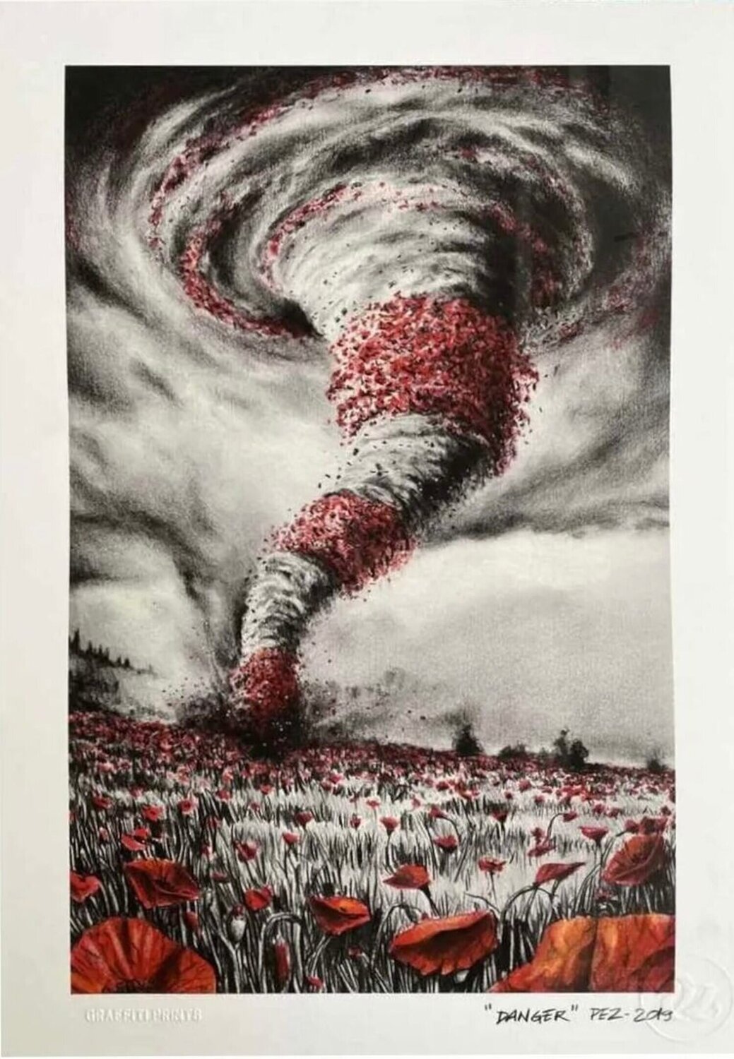 Danger Pez Stampa in vendita