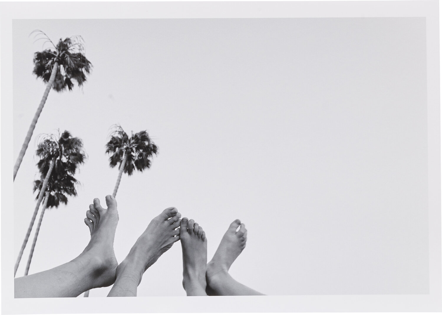 W Sam Taylor-Johnson Photography for sale