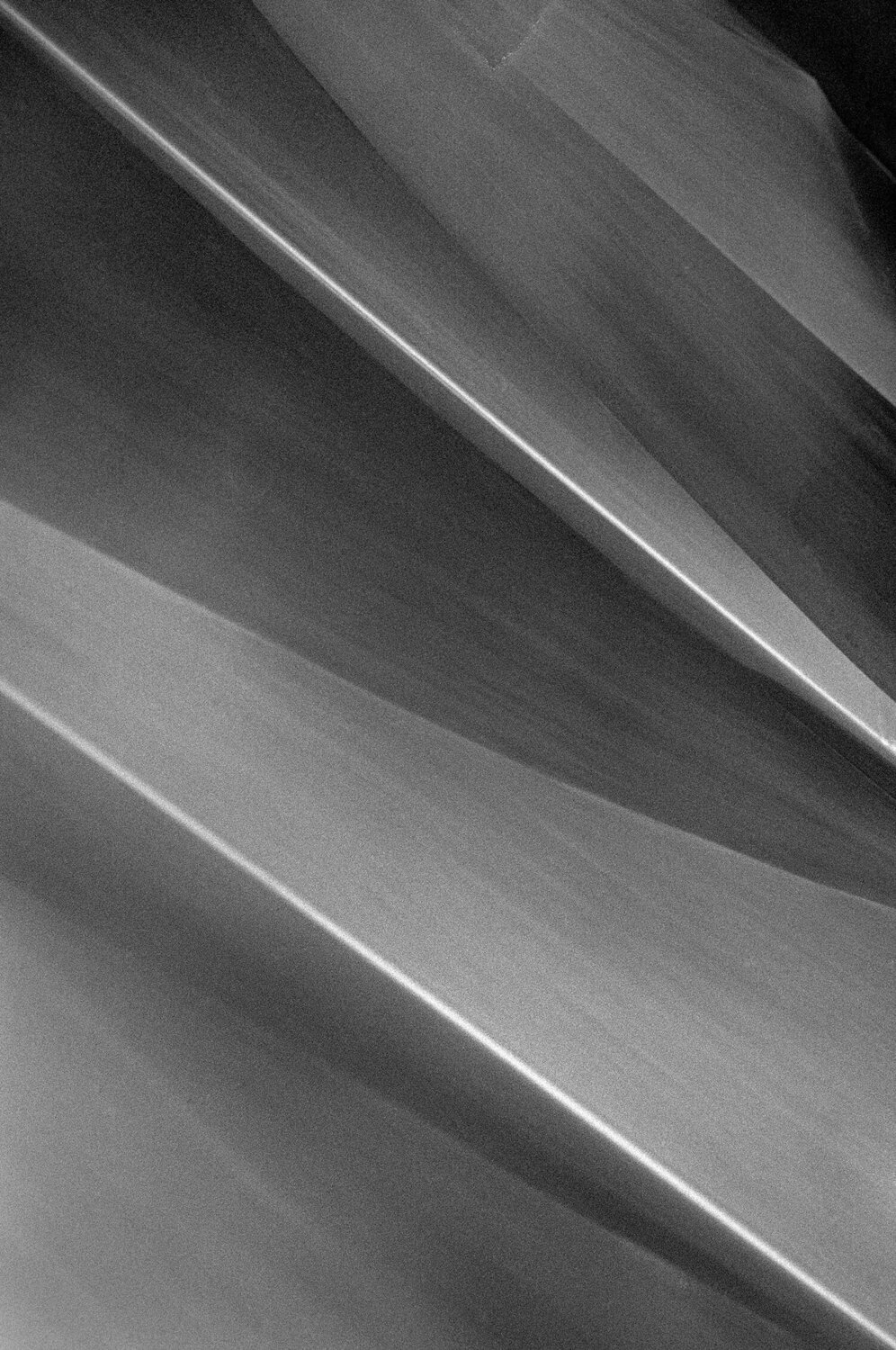 Streak 9 Csilla Szabo