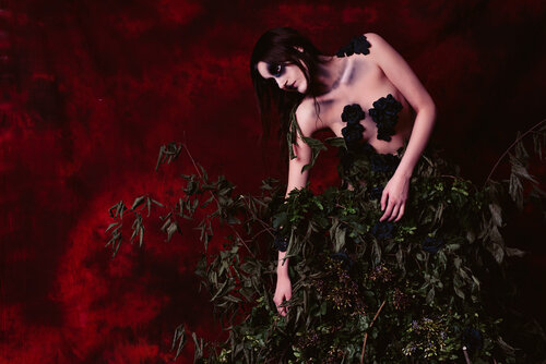 Comme des feuilles - 2 by ROSSELLA GOZIO, 사진 for Sale on Singulart