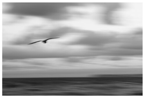 CA PLANE POUR MOI de CEDRIC FONTAINE, Fotografía a la venta en Singulart