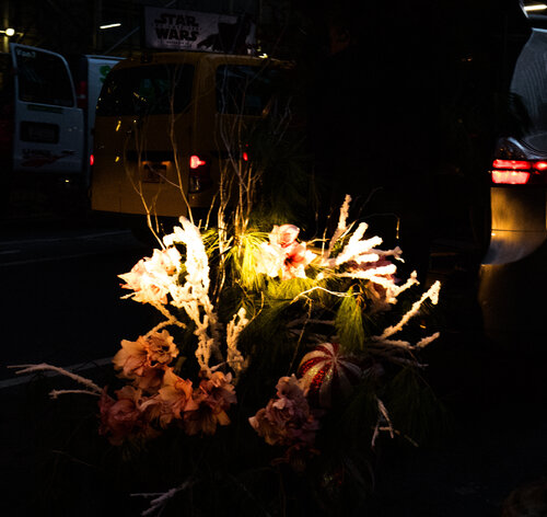 Beautiful flowers von Alain  Goulet, Fotografie kaufen auf Singulart