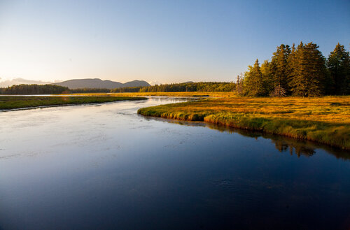 Stillness de Alain  Goulet, Fotografía a la venta en Singulart