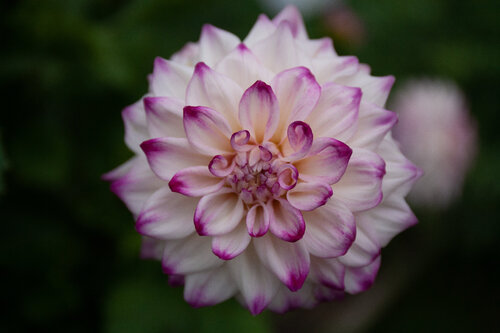Layers of Serenity de Alain  Goulet, Fotografía a la venta en Singulart