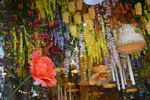 Laos Plumeria Flowers van Alain  Goulet, Fotografie te koop op Singulart