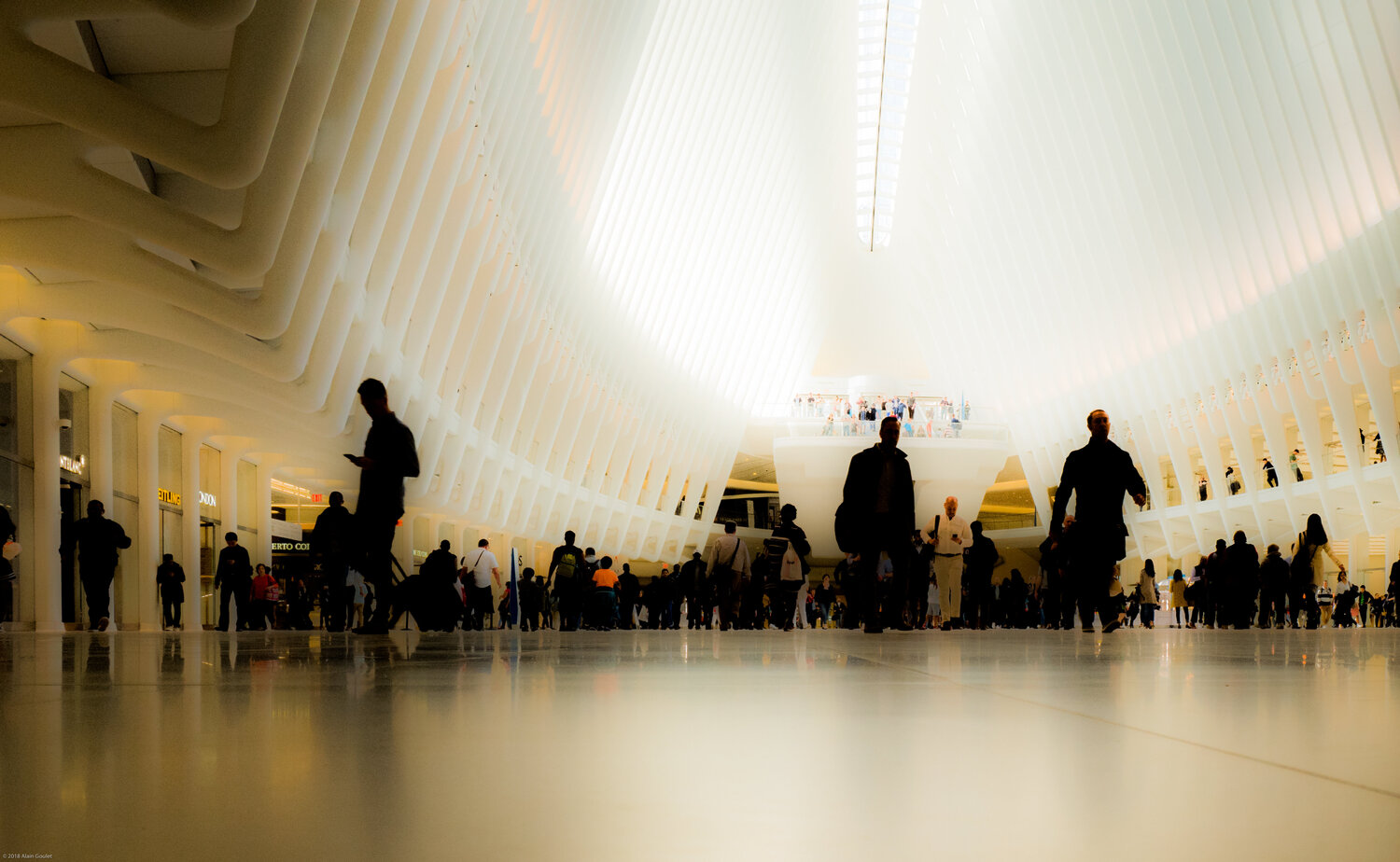 Respect for the Oculus WTC Alain  Goulet