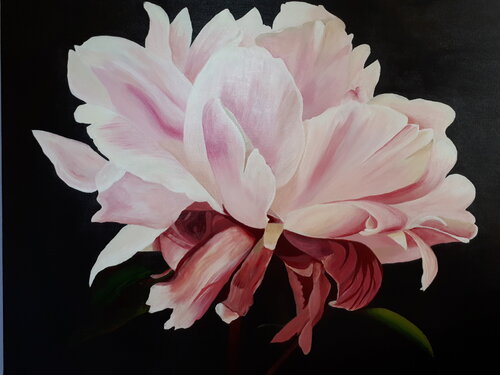 Soft soft peony de Sylvia Eder, Pintura a la venta en Singulart