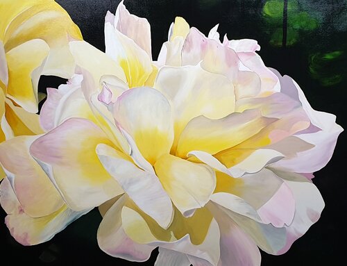 Yellow rose van Sylvia Eder, Schilderij te koop op Singulart