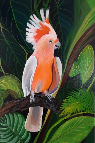 Jungle kakatoo van Sylvia Eder, Schilderij te koop op Singulart