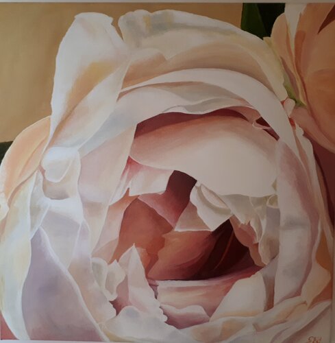Cream blush rose von Sylvia Eder, Malerei kaufen auf Singulart
