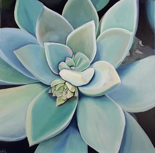 Succulent green-grey van Sylvia Eder, Schilderij te koop op Singulart