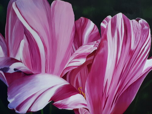 Tipsey tulips by Sylvia Eder, 회화 for Sale on Singulart