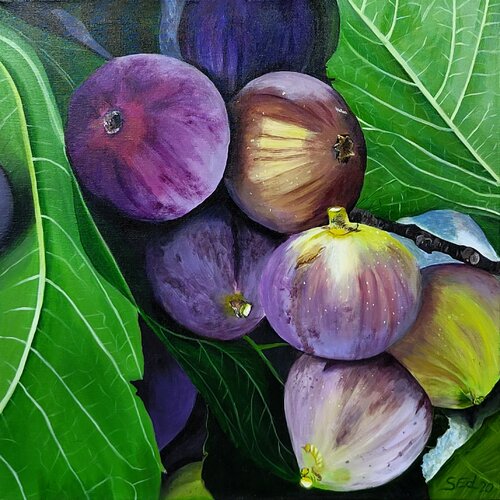 Barossa Figs by Sylvia Eder, 회화 for Sale on Singulart