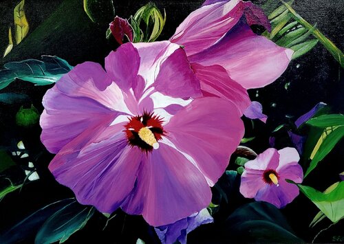 Heavenly hibiscus Sylvia Eder
