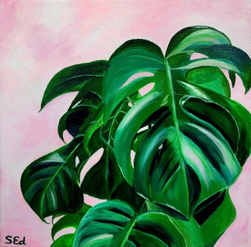 Monstera on pink Sylvia Eder
