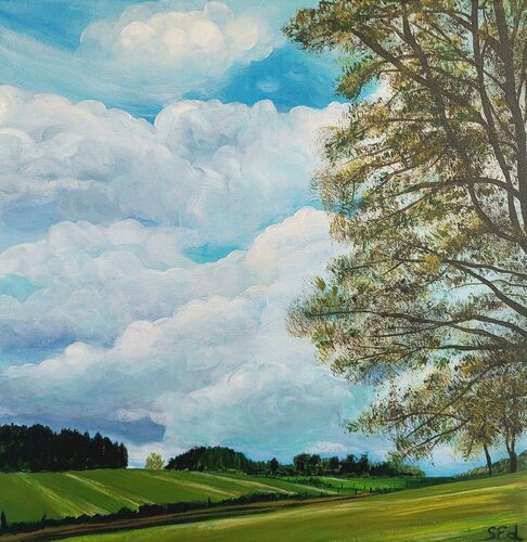 ´ Childhood memories´  (Eifeler landscape III) van Sylvia Eder, Schilderij te koop op Singulart