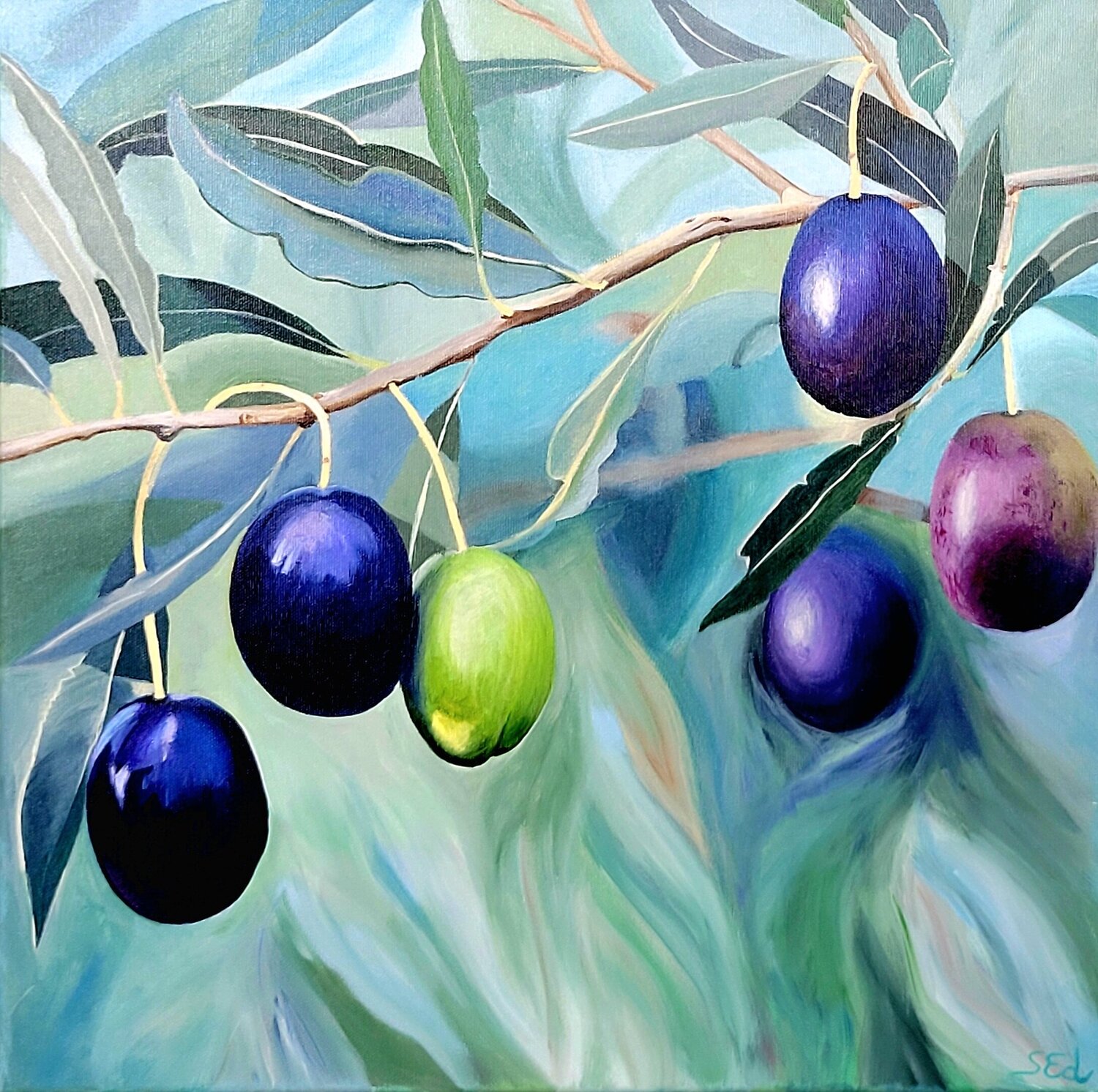 Kalamata Olives Sylvia Eder