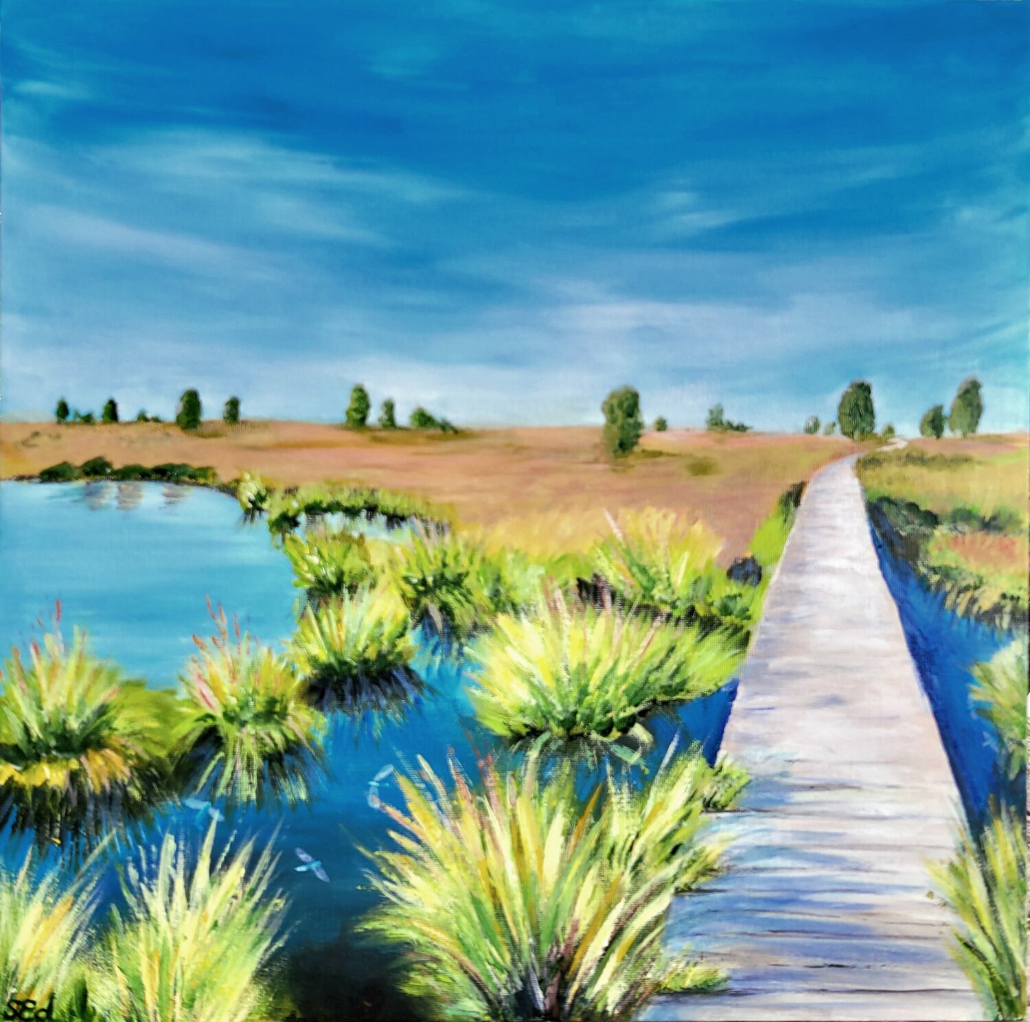 Brackvenn Belgique Sylvia Eder