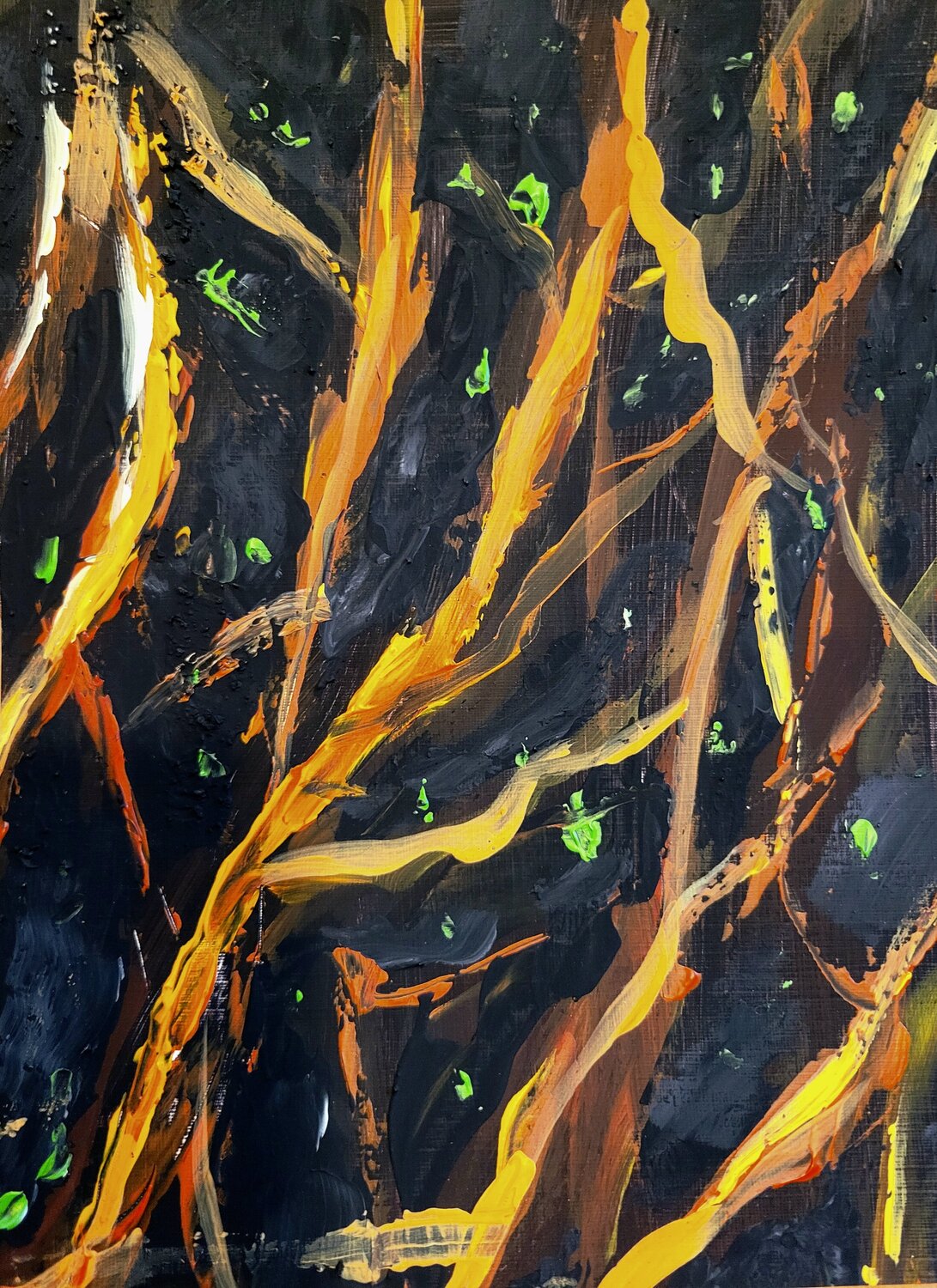 Metamorphose der Erde 3er-Set Sylvia Eder
