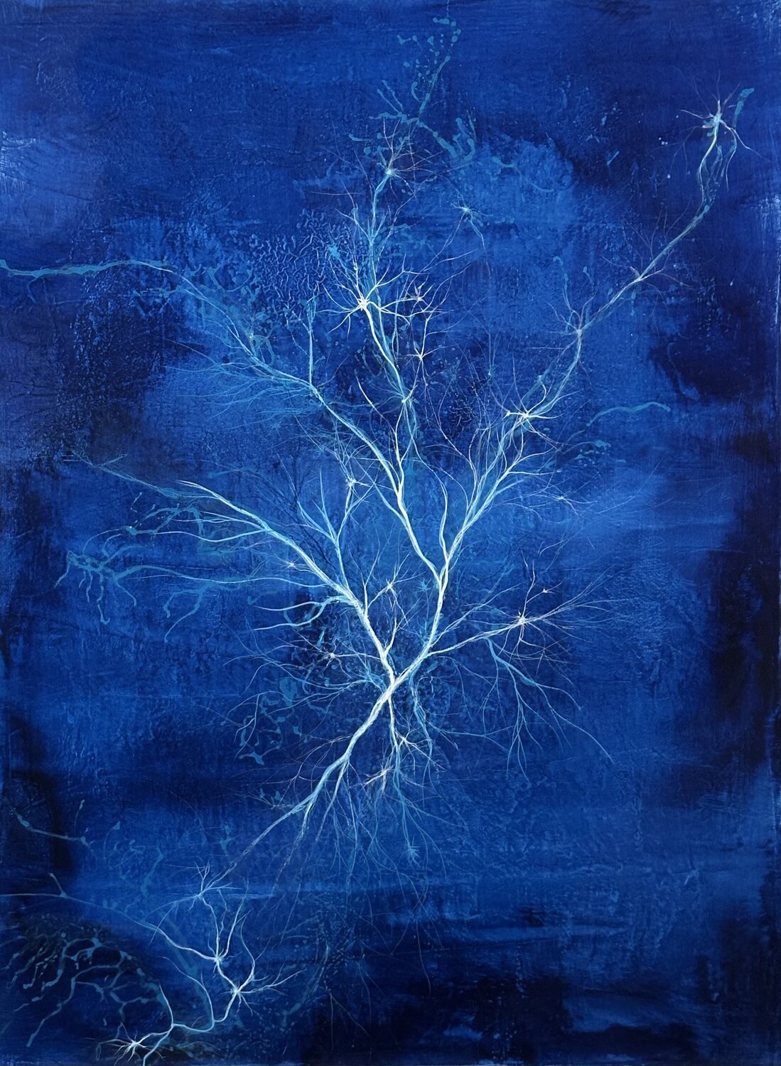 Eclosion intérieure Sandrine Belmont