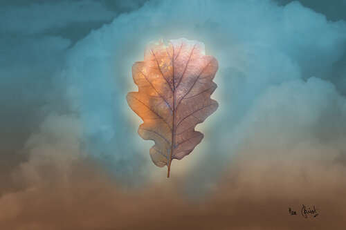 La religion de la Nature von Max Parisot du Lyaumont, Druck kaufen auf Singulart