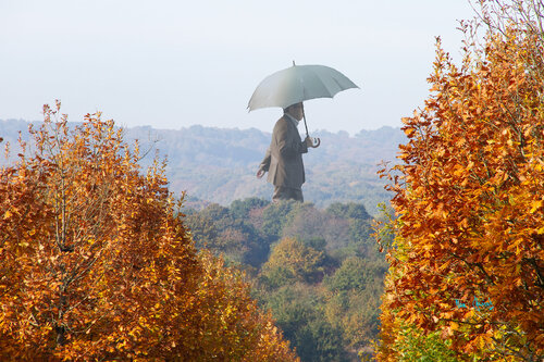 Les Rêveries du Promeneur solitaire by Max Parisot du Lyaumont, Digital for Sale on Singulart